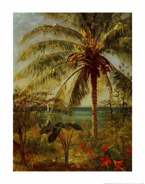 Albert Bierstadt Palm Tree, Nassau by Albert Bierstadt oil painting image